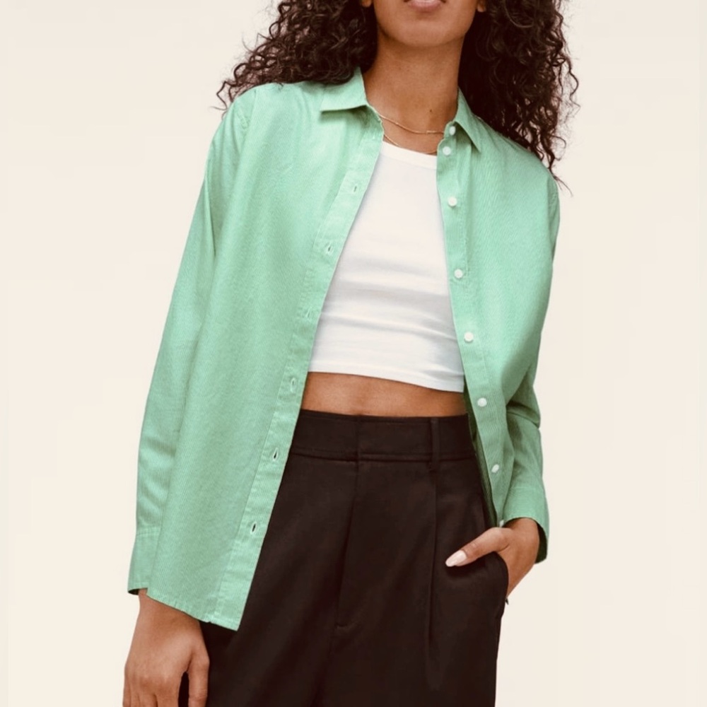 NWT Everlane The Silky Cotton Relaxed Fit Pinstripe Button Down Shirt